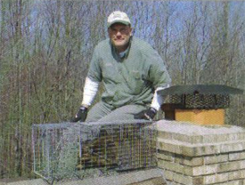 Critter Removal image